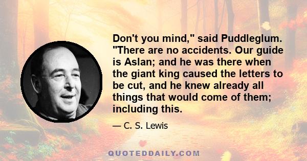 Don't you mind, said Puddleglum. There are no accidents. Our guide is Aslan; and he was there when the giant king caused the letters to be cut, and he knew already all things that would come of them; including this.