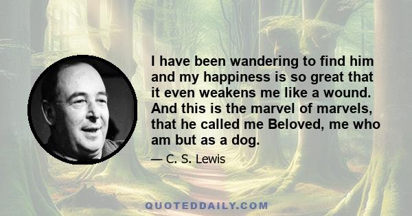 I have been wandering to find him and my happiness is so great that it even weakens me like a wound. And this is the marvel of marvels, that he called me Beloved, me who am but as a dog.