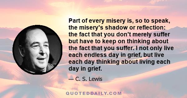 Part of every misery is, so to speak, the misery's shadow or reflection: the fact that you don't merely suffer but have to keep on thinking about the fact that you suffer. I not only live each endless day in grief, but