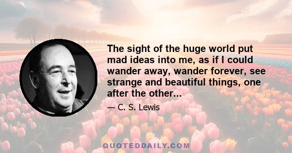 The sight of the huge world put mad ideas into me, as if I could wander away, wander forever, see strange and beautiful things, one after the other...