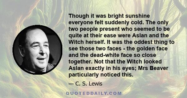 Though it was bright sunshine everyone felt suddenly cold. The only two people present who seemed to be quite at their ease were Aslan and the Witch herself. It was the oddest thing to see those two faces - the golden