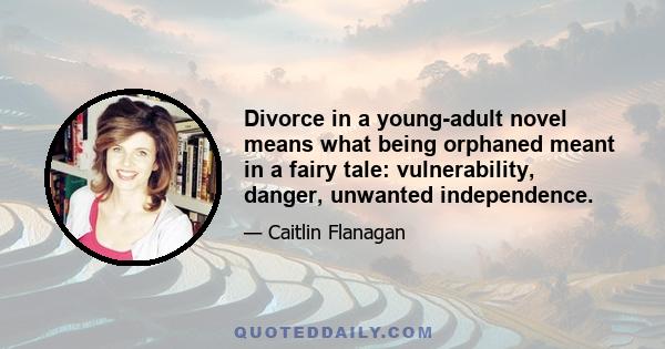 Divorce in a young-adult novel means what being orphaned meant in a fairy tale: vulnerability, danger, unwanted independence.