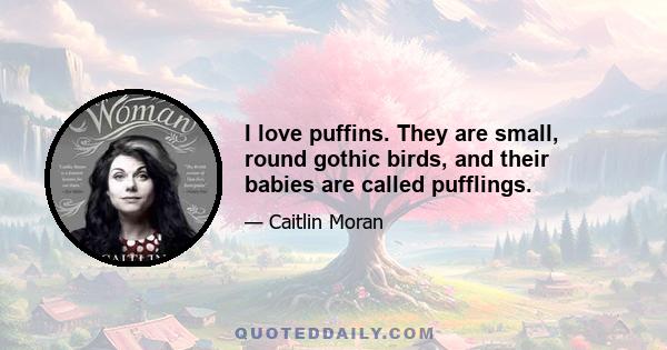 I love puffins. They are small, round gothic birds, and their babies are called pufflings.