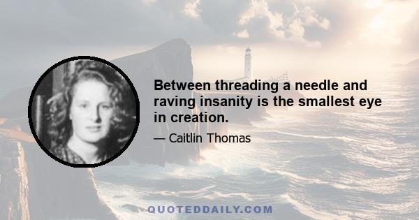 Between threading a needle and raving insanity is the smallest eye in creation.