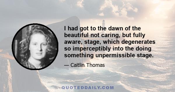 I had got to the dawn of the beautiful not caring, but fully aware, stage, which degenerates so imperceptibly into the doing something unpermissible stage.