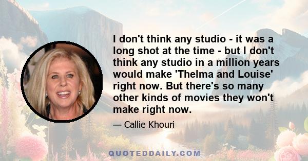 I don't think any studio - it was a long shot at the time - but I don't think any studio in a million years would make 'Thelma and Louise' right now. But there's so many other kinds of movies they won't make right now.