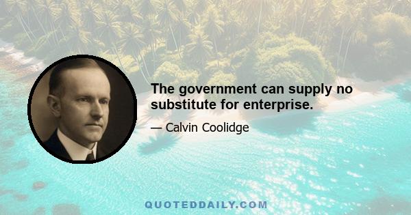 The government can supply no substitute for enterprise.