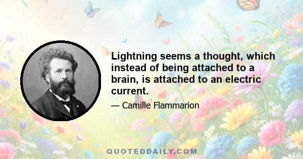 Lightning seems a thought, which instead of being attached to a brain, is attached to an electric current.