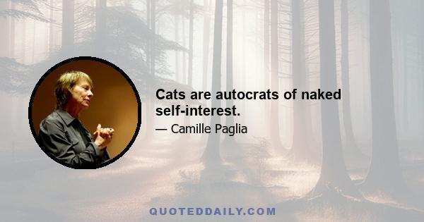 Cats are autocrats of naked self-interest.