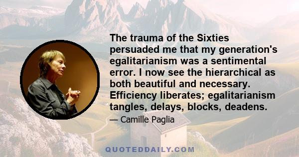 The trauma of the Sixties persuaded me that my generation's egalitarianism was a sentimental error. I now see the hierarchical as both beautiful and necessary. Efficiency liberates; egalitarianism tangles, delays,