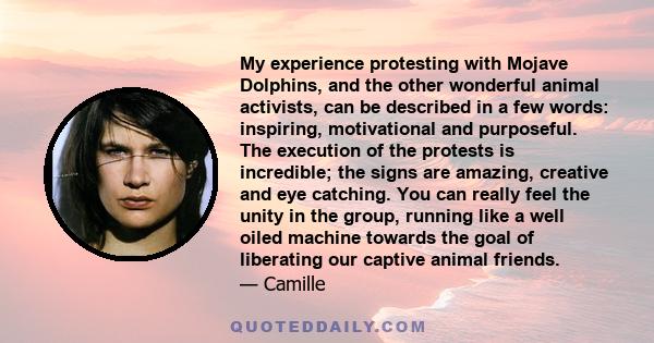 My experience protesting with Mojave Dolphins, and the other wonderful animal activists, can be described in a few words: inspiring, motivational and purposeful. The execution of the protests is incredible; the signs