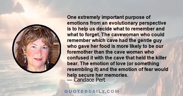 One extremely important purpose of emotions from an evolutionary perspective is to help us decide what to remember and what to forget. The cavewoman who could remember which cave had the gentle guy who gave her food is