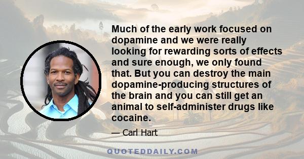 Much of the early work focused on dopamine and we were really looking for rewarding sorts of effects and sure enough, we only found that. But you can destroy the main dopamine-producing structures of the brain and you