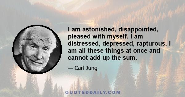 I am astonished, disappointed, pleased with myself. I am distressed, depressed, rapturous. I am all these things at once and cannot add up the sum.