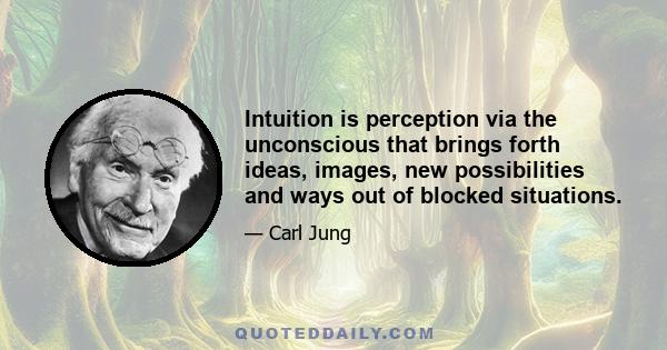 Intuition is perception via the unconscious that brings forth ideas, images, new possibilities and ways out of blocked situations.