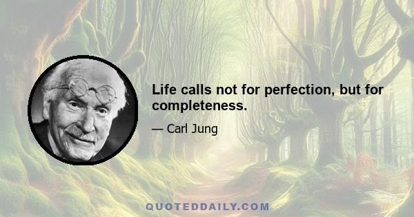 Life calls not for perfection, but for completeness.