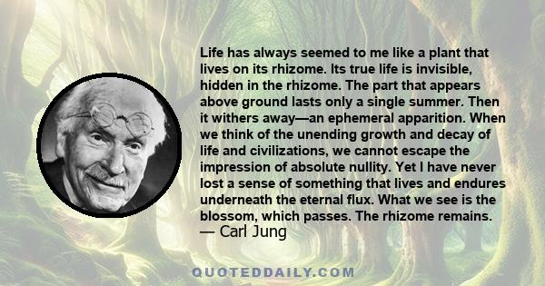 Life has always seemed to me like a plant that lives on its rhizome. Its true life is invisible, hidden in the rhizome. The part that appears above ground lasts only a single summer. Then it withers away—an ephemeral