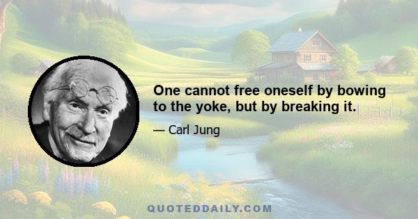 One cannot free oneself by bowing to the yoke, but by breaking it.