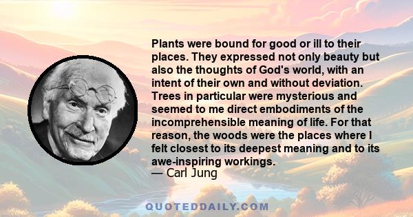 Plants were bound for good or ill to their places. They expressed not only beauty but also the thoughts of God's world, with an intent of their own and without deviation. Trees in particular were mysterious and seemed