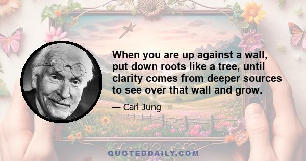 When you are up against a wall, put down roots like a tree, until clarity comes from deeper sources to see over that wall and grow.