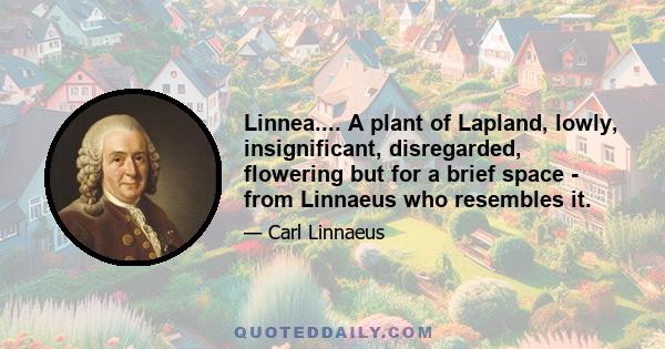 Linnea.... A plant of Lapland, lowly, insignificant, disregarded, flowering but for a brief space - from Linnaeus who resembles it.