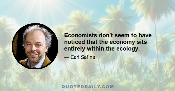 Economists don't seem to have noticed that the economy sits entirely within the ecology.