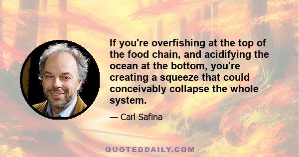 If you're overfishing at the top of the food chain, and acidifying the ocean at the bottom, you're creating a squeeze that could conceivably collapse the whole system.