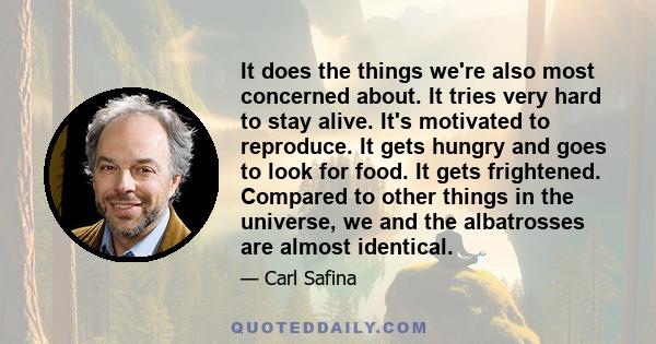 It does the things we're also most concerned about. It tries very hard to stay alive. It's motivated to reproduce. It gets hungry and goes to look for food. It gets frightened. Compared to other things in the universe,