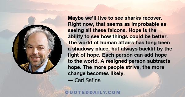 Maybe we’ll live to see sharks recover. Right now, that seems as improbable as seeing all these falcons. Hope is the ability to see how things could be better. The world of human affairs has long been a shadowy place,