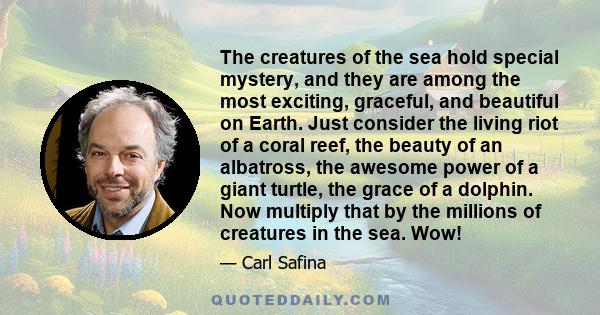 The creatures of the sea hold special mystery, and they are among the most exciting, graceful, and beautiful on Earth. Just consider the living riot of a coral reef, the beauty of an albatross, the awesome power of a