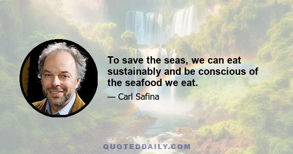 To save the seas, we can eat sustainably and be conscious of the seafood we eat.