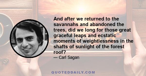 And after we returned to the savannahs and abandoned the trees, did we long for those great graceful leaps and ecstatic moments of weightlessness in the shafts of sunlight of the forest roof?