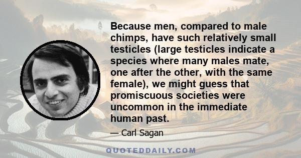 Because men, compared to male chimps, have such relatively small testicles (large testicles indicate a species where many males mate, one after the other, with the same female), we might guess that promiscuous societies 