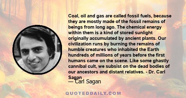 Coal, oil and gas are called fossil fuels, because they are mostly made of the fossil remains of beings from long ago. The chemical energy within them is a kind of stored sunlight originally accumulated by ancient