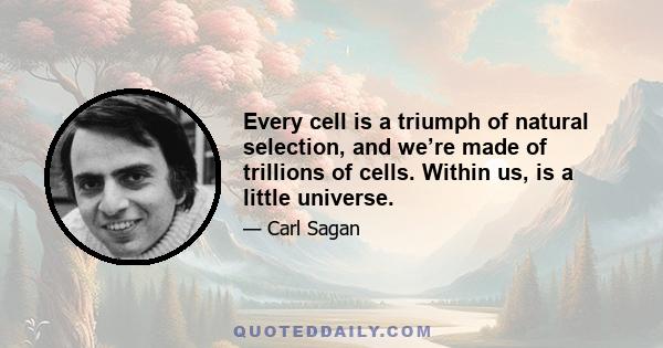 Every cell is a triumph of natural selection, and we’re made of trillions of cells. Within us, is a little universe.