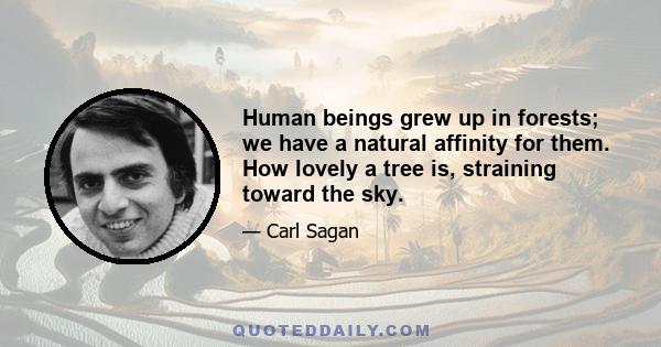 Human beings grew up in forests; we have a natural affinity for them. How lovely a tree is, straining toward the sky.