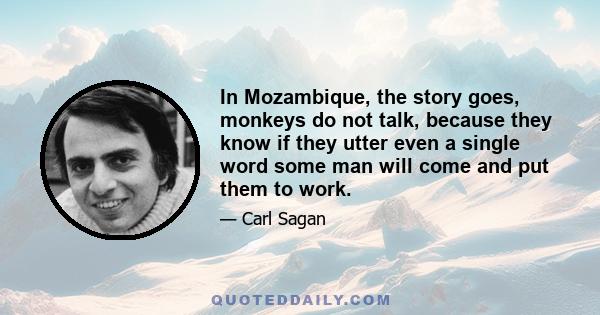 In Mozambique, the story goes, monkeys do not talk, because they know if they utter even a single word some man will come and put them to work.