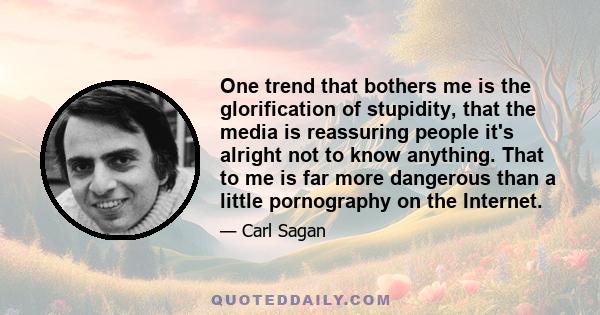 One trend that bothers me is the glorification of stupidity, that the media is reassuring people it's alright not to know anything. That to me is far more dangerous than a little pornography on the Internet.