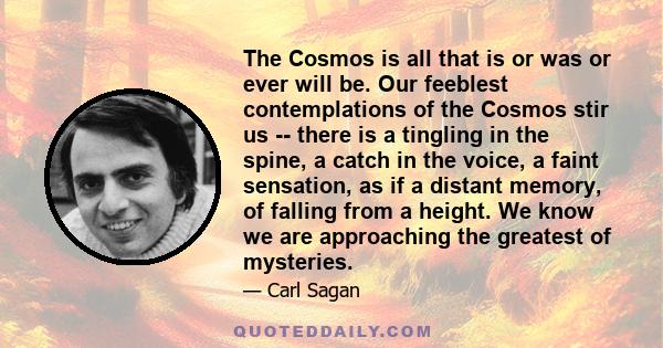 The Cosmos is all that is or was or ever will be. Our feeblest contemplations of the Cosmos stir us -- there is a tingling in the spine, a catch in the voice, a faint sensation, as if a distant memory, of falling from a 