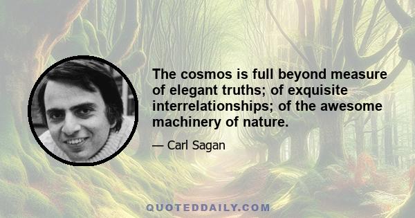 The cosmos is full beyond measure of elegant truths; of exquisite interrelationships; of the awesome machinery of nature.