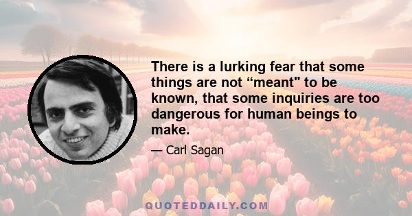 There is a lurking fear that some things are not “meant to be known, that some inquiries are too dangerous for human beings to make.