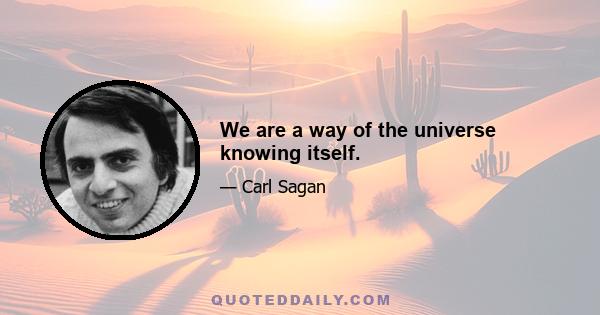 We are a way of the universe knowing itself.