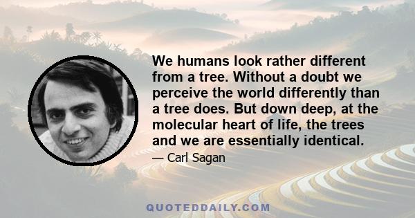 We humans look rather different from a tree. Without a doubt we perceive the world differently than a tree does. But down deep, at the molecular heart of life, the trees and we are essentially identical.