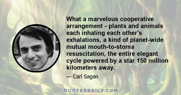 What a marvelous cooperative arrangement - plants and animals each inhaling each other's exhalations, a kind of planet-wide mutual mouth-to-stoma resuscitation, the entire elegant cycle powered by a star 150 million