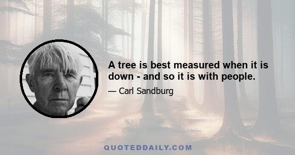 A tree is best measured when it is down - and so it is with people.