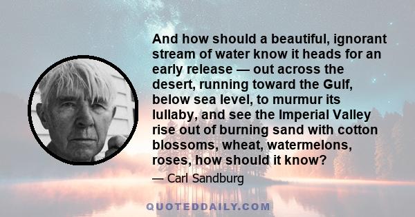 And how should a beautiful, ignorant stream of water know it heads for an early release — out across the desert, running toward the Gulf, below sea level, to murmur its lullaby, and see the Imperial Valley rise out of