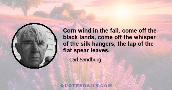 Corn wind in the fall, come off the black lands, come off the whisper of the silk hangers, the lap of the flat spear leaves.