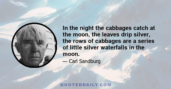 In the night the cabbages catch at the moon, the leaves drip silver, the rows of cabbages are a series of little silver waterfalls in the moon.