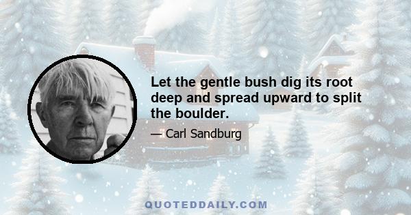 Let the gentle bush dig its root deep and spread upward to split the boulder.