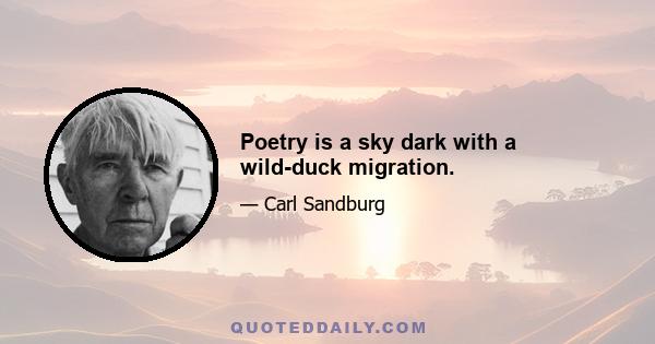 Poetry is a sky dark with a wild-duck migration.